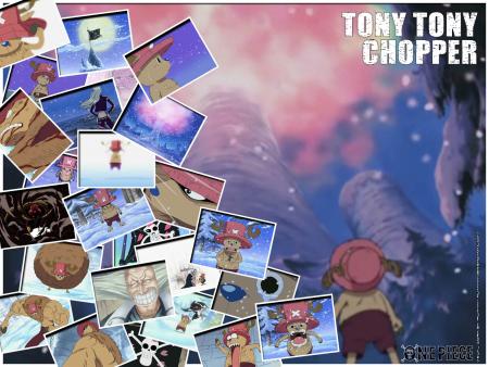 Tony Tony Chopper